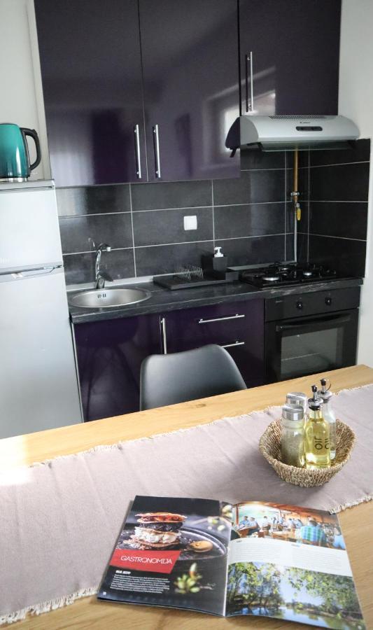 Apartment Sandra Toplice Sveti Martin 스베티 마르틴 나 무리 외부 사진
