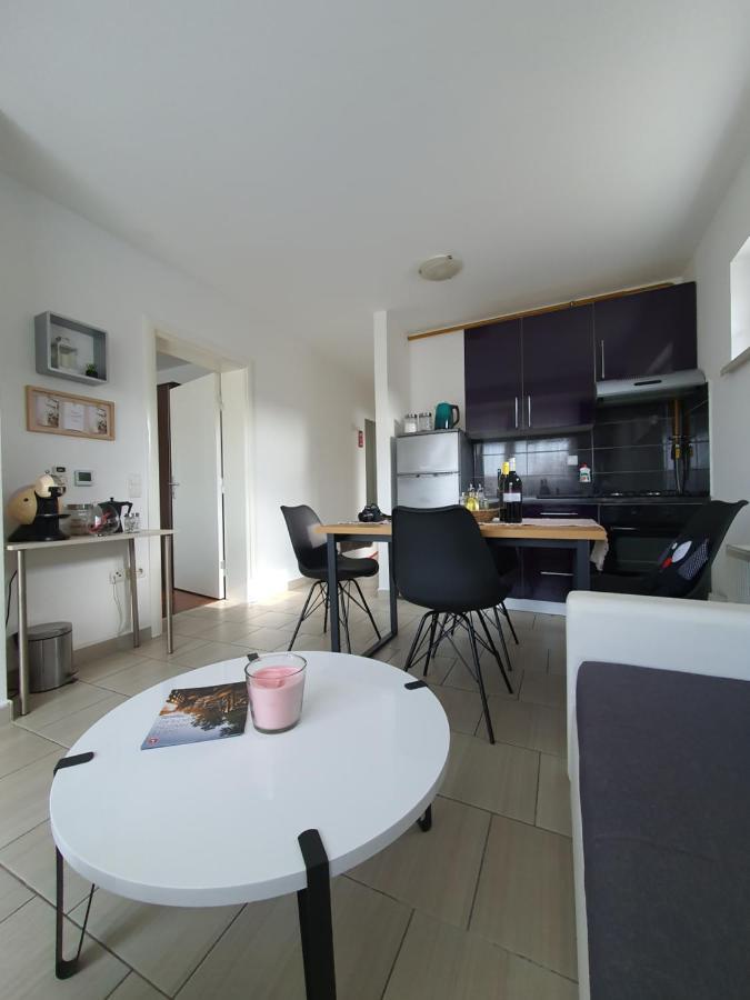 Apartment Sandra Toplice Sveti Martin 스베티 마르틴 나 무리 외부 사진